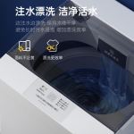 Panasonic 松下 8公斤波轮洗衣机全自动 家用租房老人 节水省电人工智能 XQB80-T8JSA/T8JGL