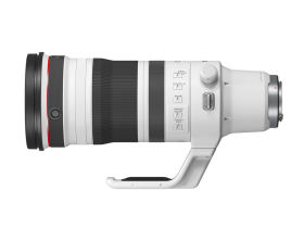 RF100-300mm F2.8 L IS USM