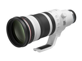 RF100-300mm F2.8 L IS USM