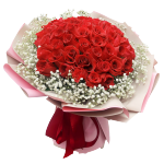 热带之恋 情人节鲜花速递 33朵红玫瑰花束相思梅款