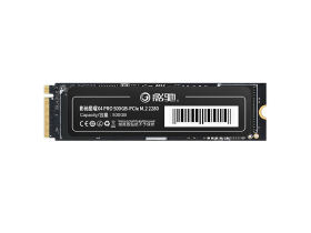ӰX4 PROϵ 500GB M.2 SSD