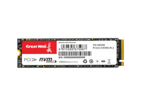 GW3300 256GB M.2 SSD