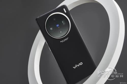 vivo X100