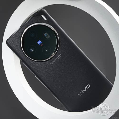 vivo X100