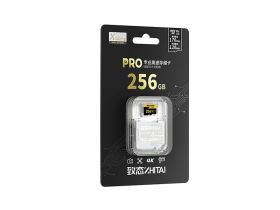 ̬PRO TF 256GB