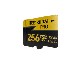 ̬PRO TF 256GB