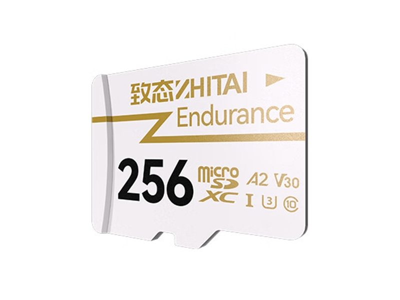 ̬Endurance TF 256GBͼ