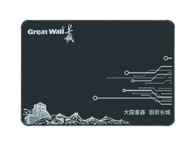 GW520 480GB SATA3.0 SSD