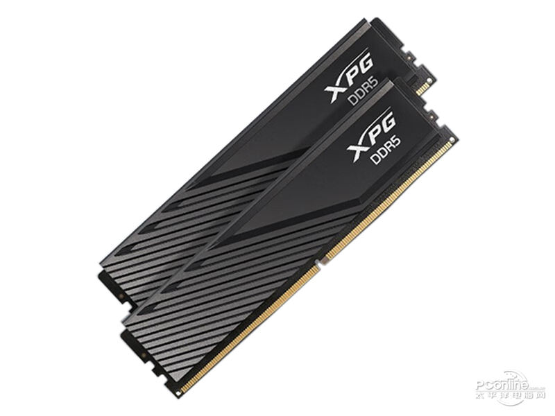 威刚XPG 威龙D300 DDR5 6000 32GB(16GB×2) 主图