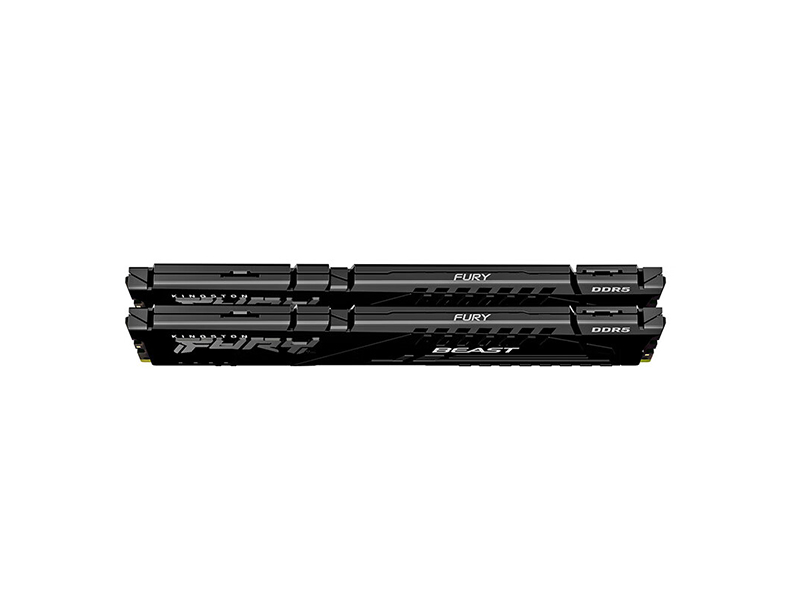 ʿٺ Beast Ұϵ DDR5 6400 32GB(16GB2)ͼ