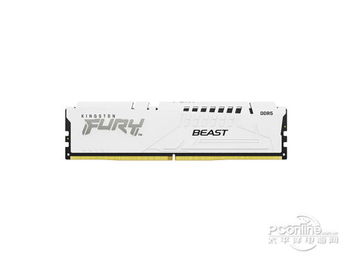 金士顿骇客神条 Beast 超级野兽系列 DDR5 6400 32GB(16GB×2)