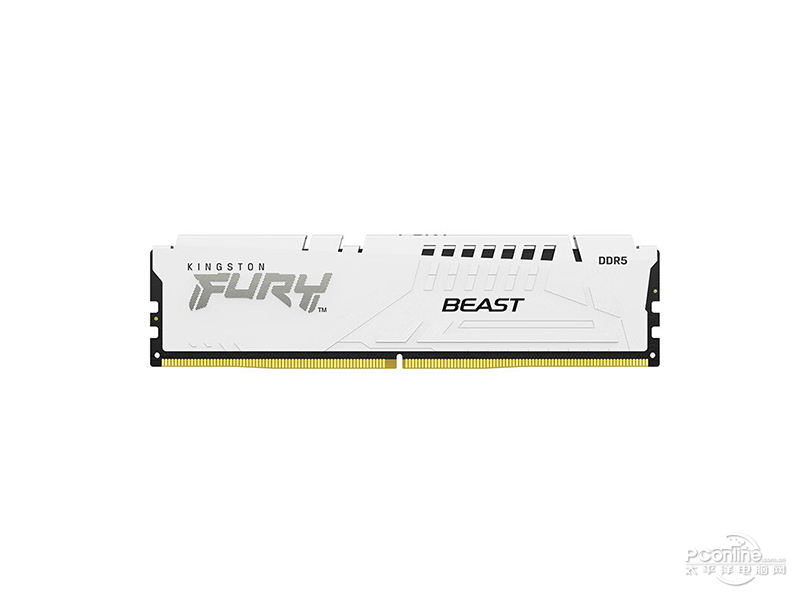 ʿٺ Beast Ұϵ DDR5 6400 32GB(16GB2)ͼ