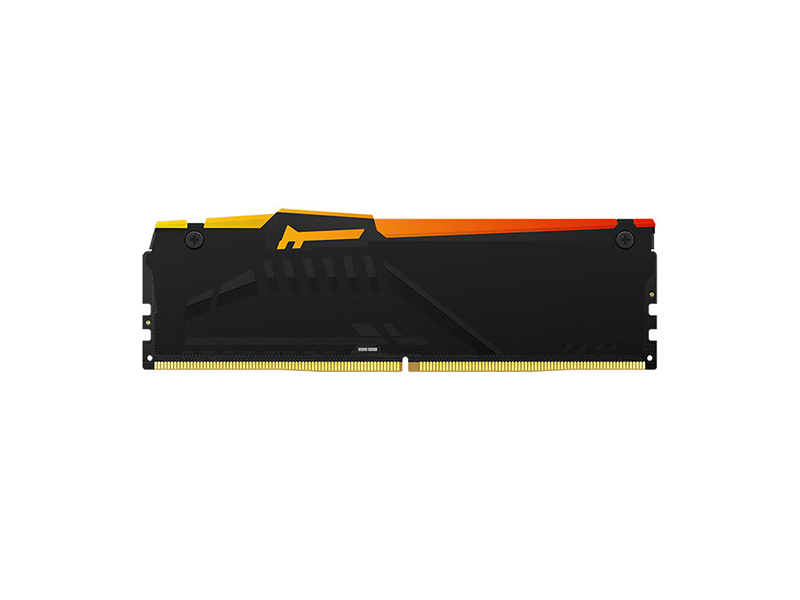 ʿٺ Beast Ұϵ EXPO RGB DDR5 6400 32GB(16GB2)ͼ