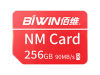 άNM100 NM(256GB)