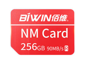 άNM100 NM(256GB)