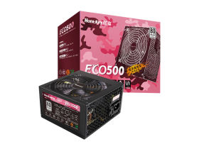 ECO500
