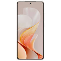 vivo S19