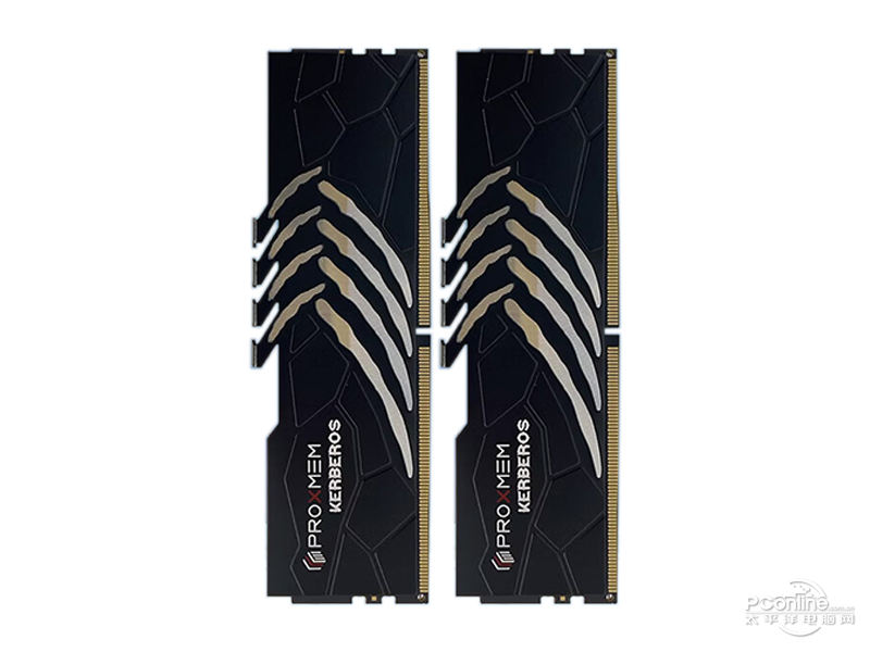 阿斯加特博德斯曼-地狱犬 DDR5 6000 32GB(16GB×2) 主图