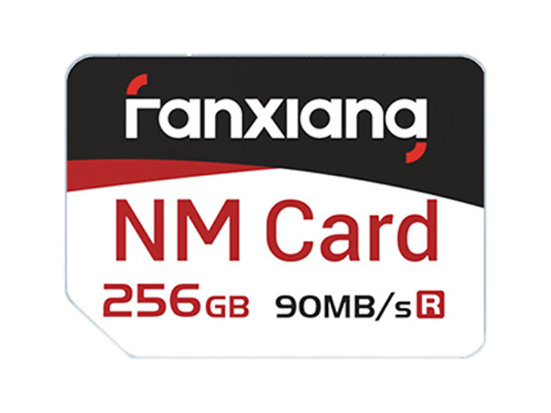 NM1 NM(256GB)ͼ