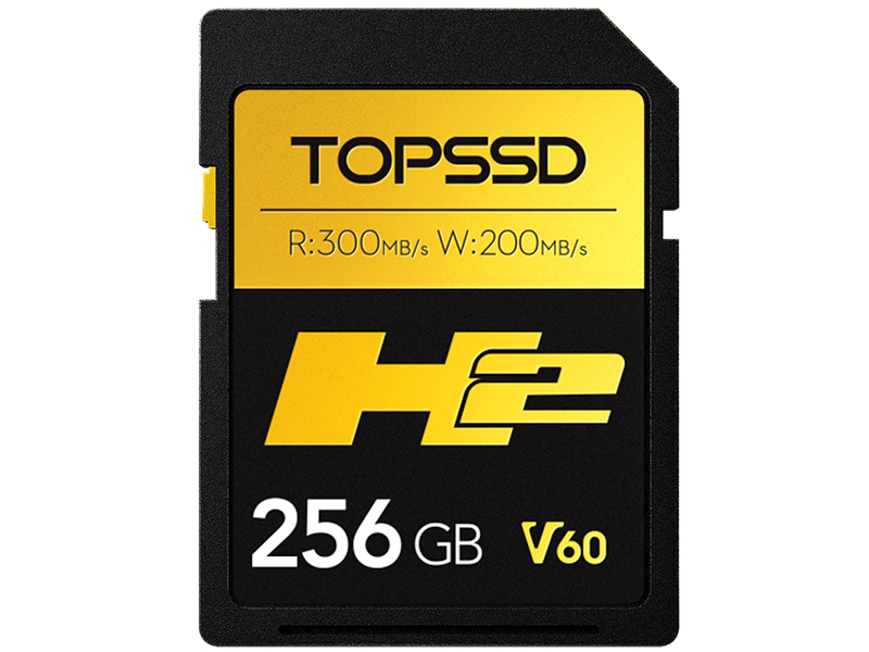 TOPSSD SD300M H2 SD(256GB)ͼ