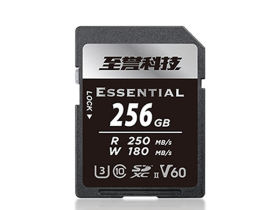 ƼESSENTIALϵ V60 SD(256GB)