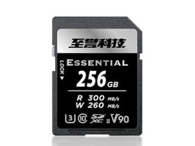 ƼESSENTIALϵ V90 SD(256GB)