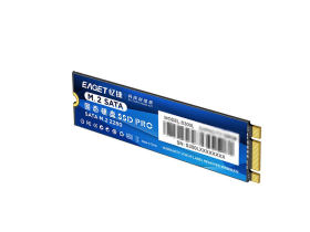 S300L 256GB M.2 SSD