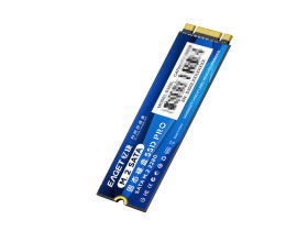 S300L 256GB M.2 SSD