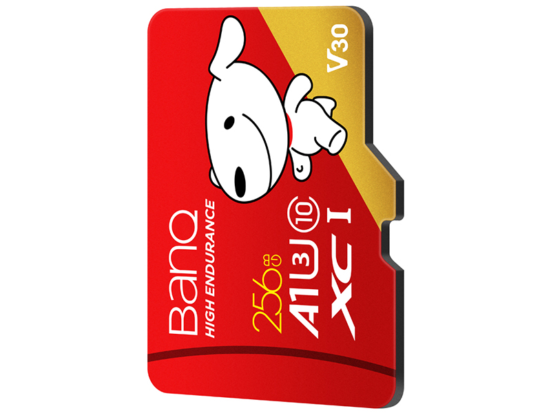 banq&JOYPROרҵٰ TF(256GB)ͼ