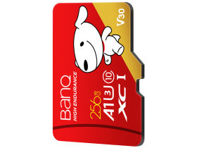 banq&JOYPROרҵٰ TF(256GB)