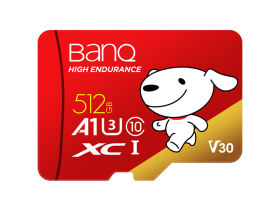 banq&JOYPROרҵٰ TF(512GB)