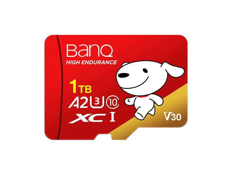 banq&JOYPROרҵٰ TF(1TB)ͼ