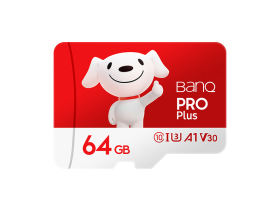 banq&JOYPro TF(64GB)