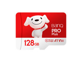 banq&JOYPro TF(128GB)