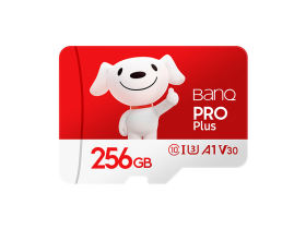 banq&JOYPro TF(256GB)ͼ1