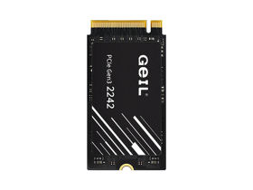 P3P 1TB M.2 2242 SSD