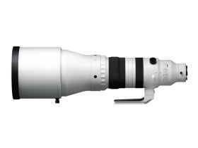 300-600mm F4 DG OS | Sports