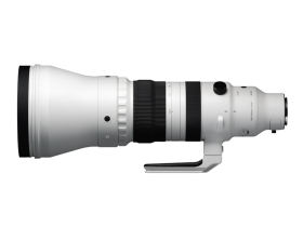 300-600mm F4 DG OS | Sports