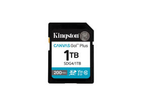 ʿSDG4 SD(1TB)