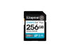 ʿSDG4 SD(256GB)