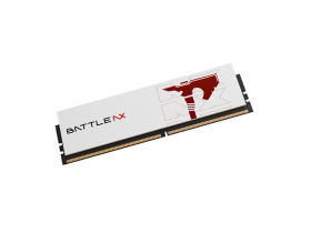 ߲ʺBATTLEAXսϵ C28 DDR5 6000 48GB(24GB2)