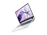 ߲ʺP16(i7-13620H/16GB/512GB/RTX5060/165Hz/2.5K)