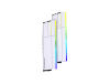 ˹Ů߶IIxҫ RGB C36 DDR5 6000 32GB(16GB2)
